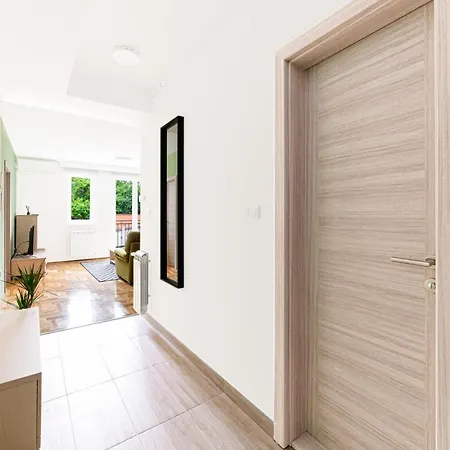 Djokic كراغوييفاك