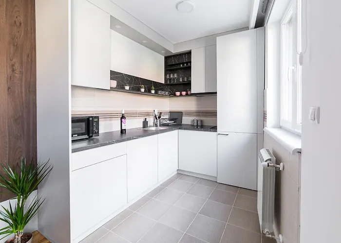 Djokic * 克拉古耶瓦茨